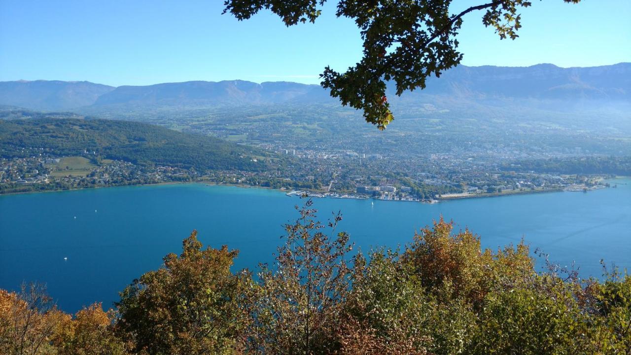 Gite Clair, Spacieux Et Cosy Avec Vue Sur Le Massif De La Chartreuse Appartement Sainte-Helene-du-Lac Buitenkant foto