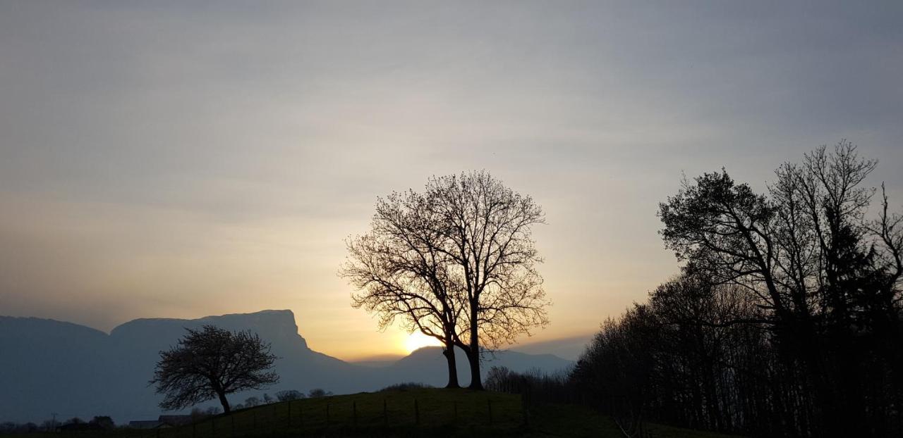 Gite Clair, Spacieux Et Cosy Avec Vue Sur Le Massif De La Chartreuse Appartement Sainte-Helene-du-Lac Buitenkant foto