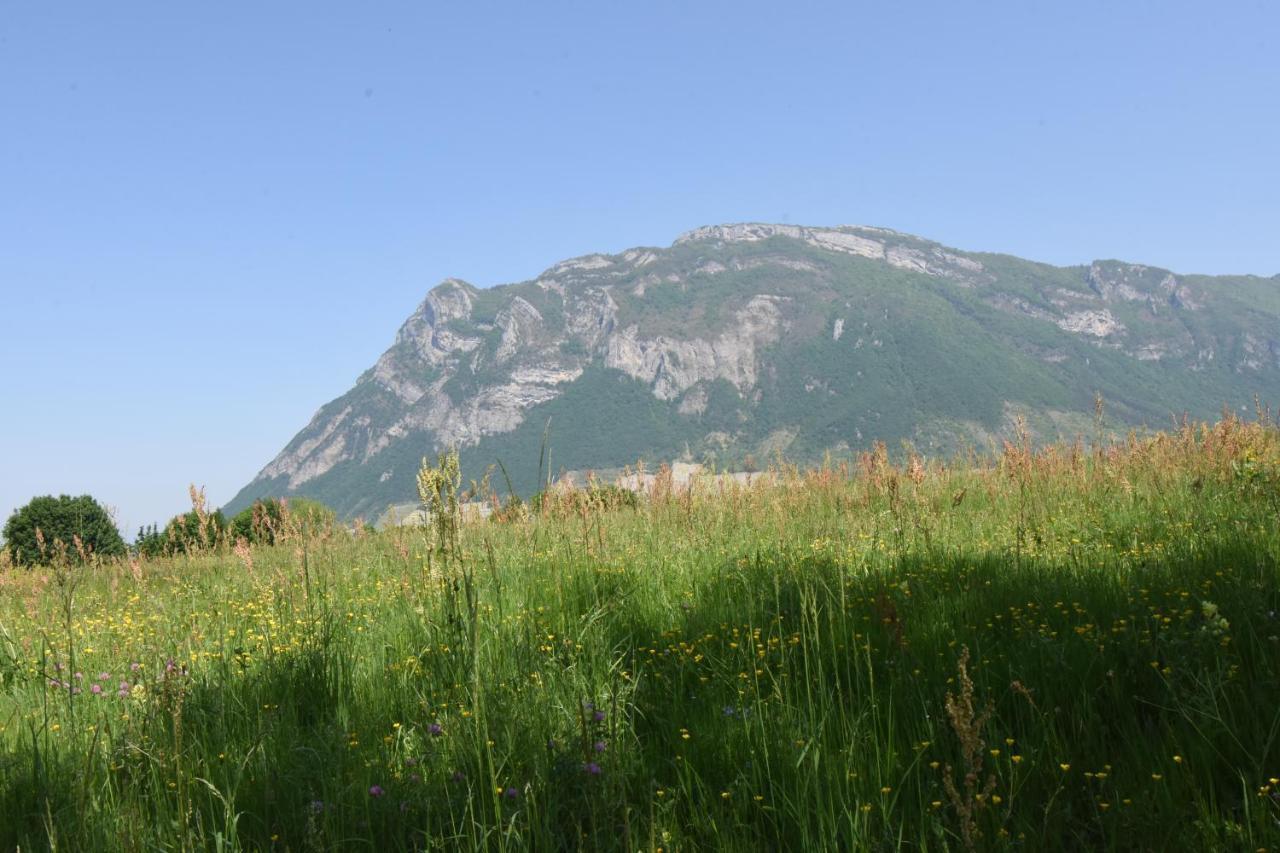 Gite Clair, Spacieux Et Cosy Avec Vue Sur Le Massif De La Chartreuse Appartement Sainte-Helene-du-Lac Buitenkant foto